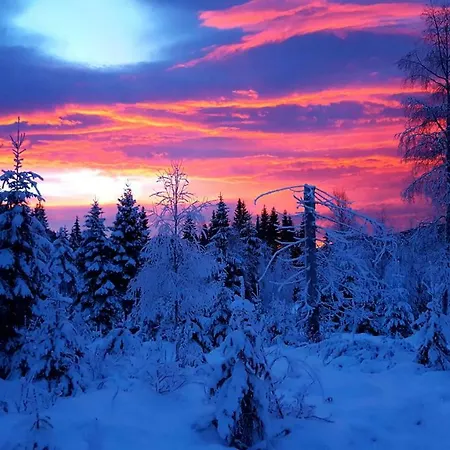 Holiday home Det Gule Huset *